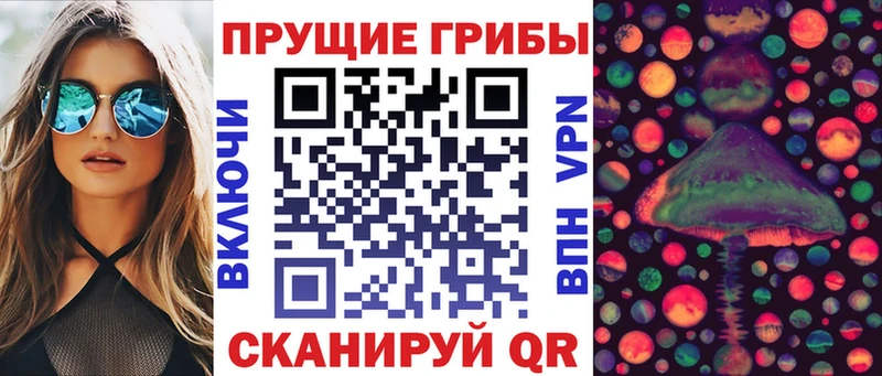 Псилоцибиновые грибы MAGIC MUSHROOMS  где найти наркотики  Апатиты 